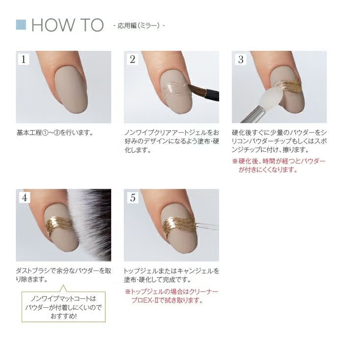 PREGEL Non Wipe Matte Coat 12g