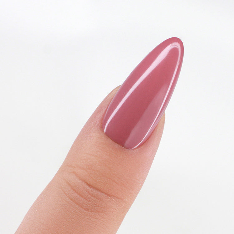 LECHAT Perfect Match Pro Powder 42g - Dried Roses PROP027