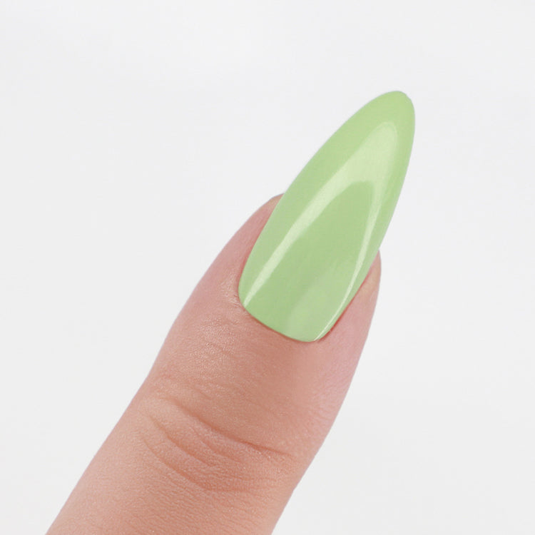 LECHAT Perfect Match Pro Powder 42g - Pear Blossom PROP065