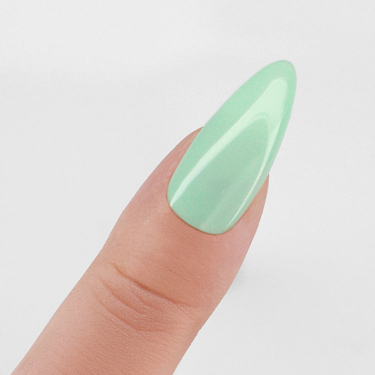 LECHAT Perfect Match Pro Powder 42g - Tranquil Mint PROP076
