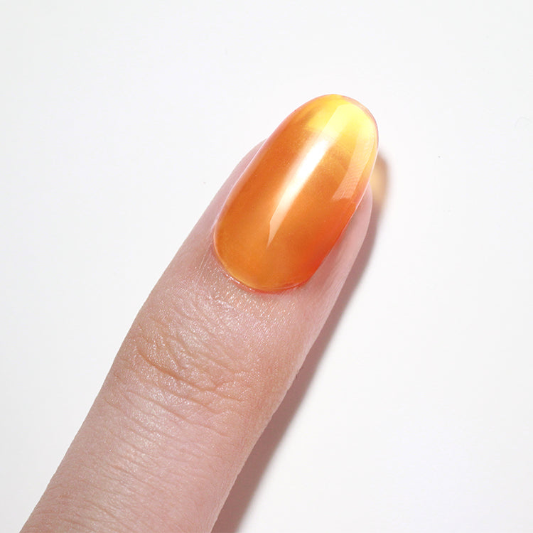 LECHAT Gel Polish Color & Top in One Coat Pepita 0.5OZ - LG028