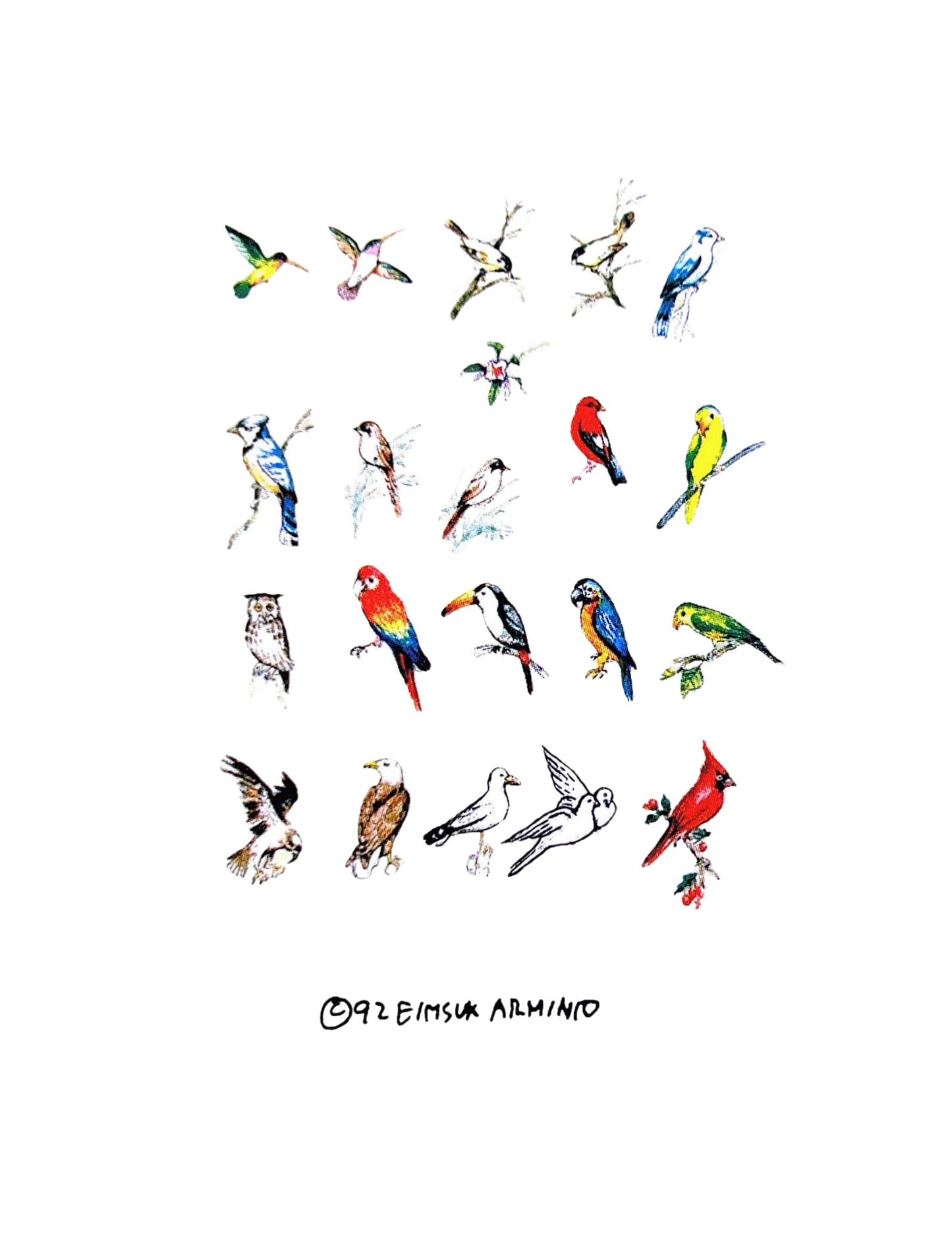 Water Decal - Birds
